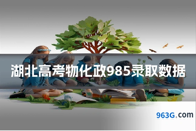 湖北高考物化政985录取数据