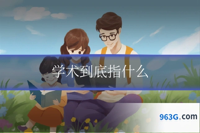 学术到底指什么