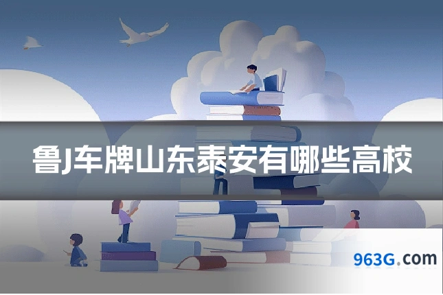 鲁J车牌山东泰安有哪些高校