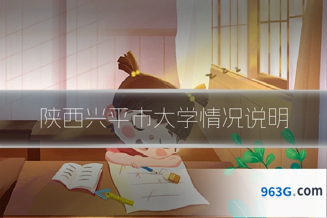陕西兴平市大学情况说明