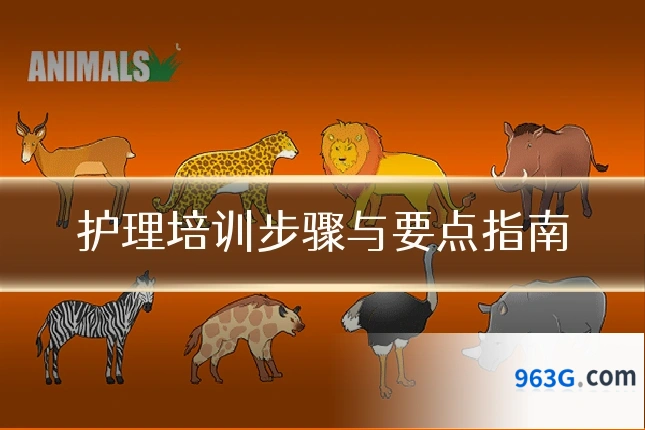护理培训步骤与要点指南