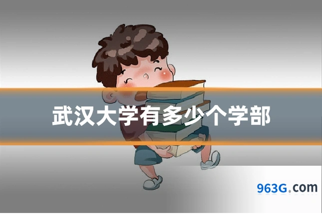 武汉大学有多少个学部