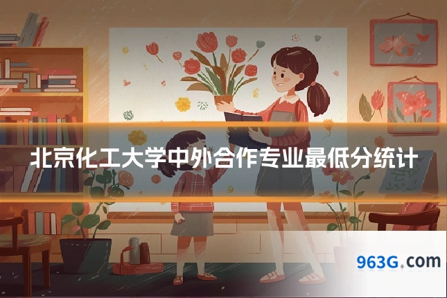 北京化工大学中外合作专业最低分统计