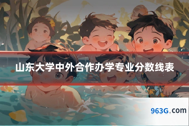 山东大学中外合作办学专业分数线表