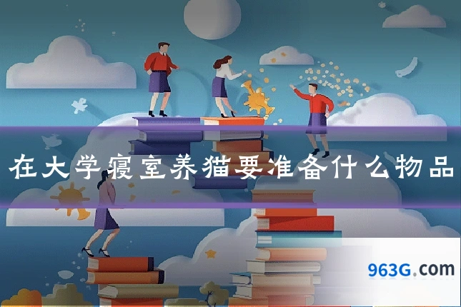 在大学寝室养猫要准备什么物品