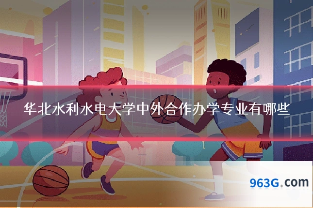 华北水利水电大学中外合作办学专业有哪些