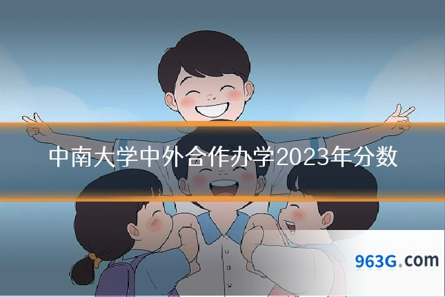 中南大学中外合作办学2023年分数