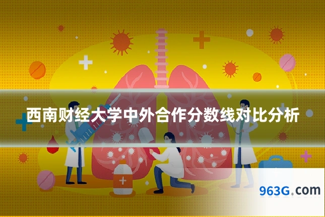 西南财经大学中外合作分数线对比分析