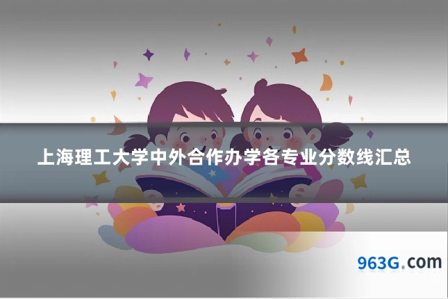 上海理工大学中外合作办学各专业分数线汇总