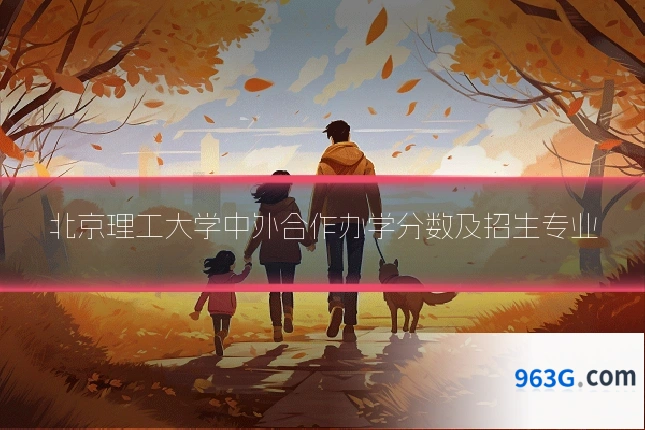 北京理工大学中外合作办学分数及招生专业