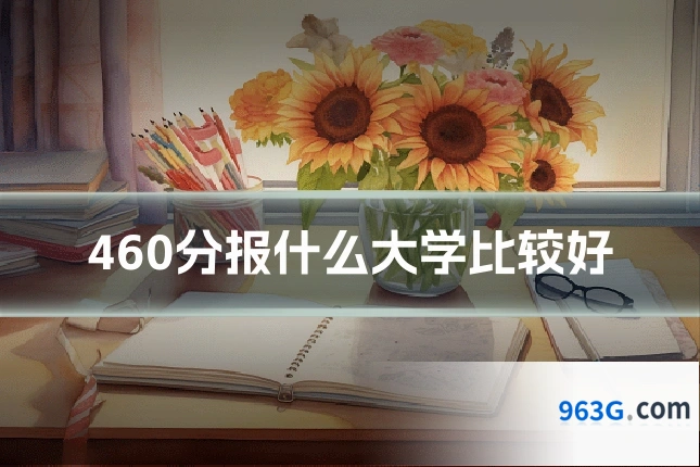 460分报什么大学比较好