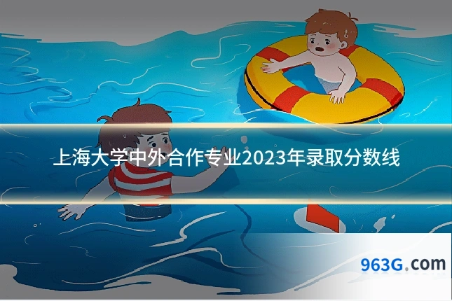 上海大学中外合作专业2023年录取分数线