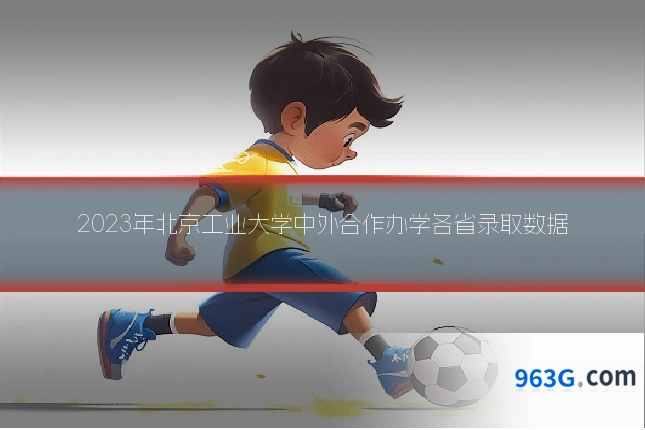 2023年北京工业大学中外合作办学各省录取数据