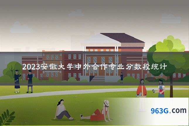 2023安徽大学中外合作专业分数段统计