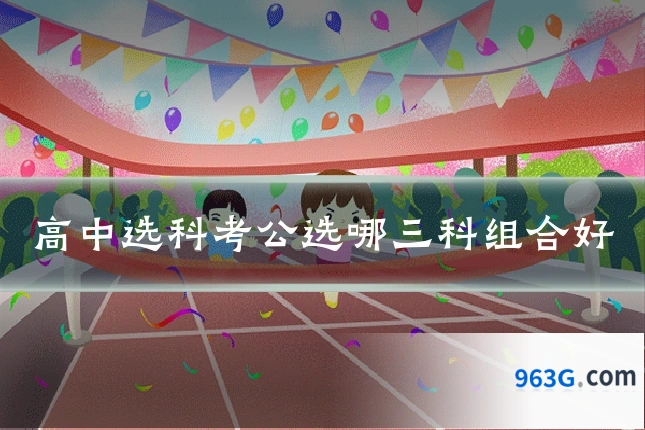 高中选科考公选哪三科组合好