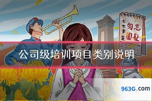 公司级培训项目类别说明