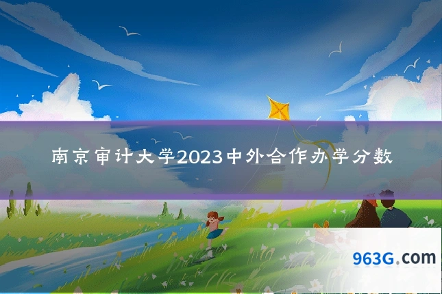 南京审计大学2023中外合作办学分数