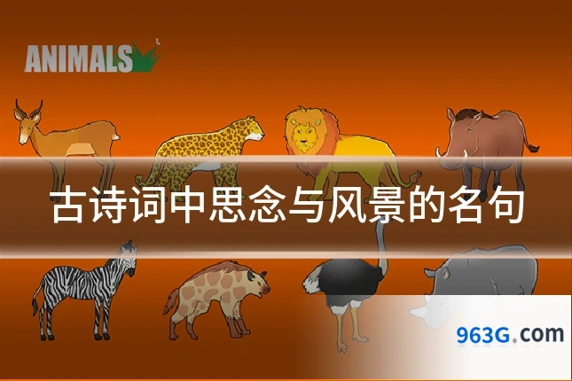 古诗词中思念与风景的名句