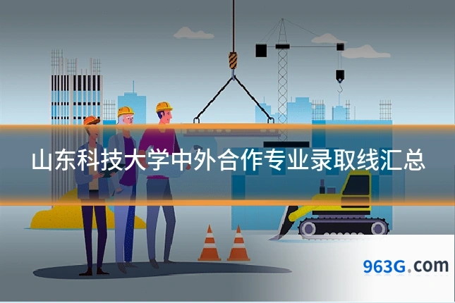 山东科技大学中外合作专业录取线汇总