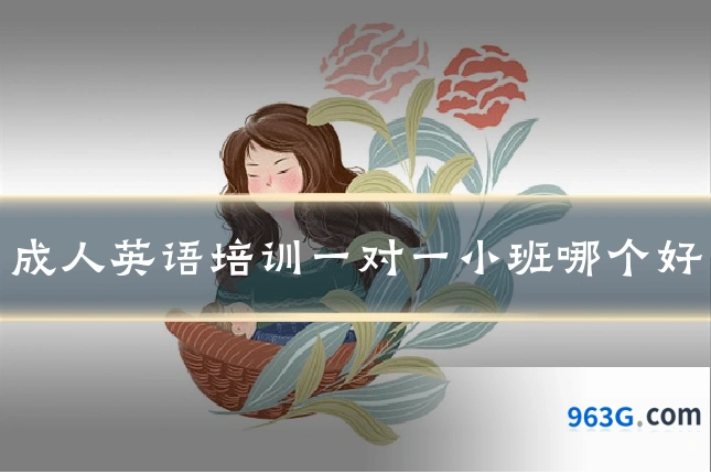 成人英语培训一对一小班哪个好