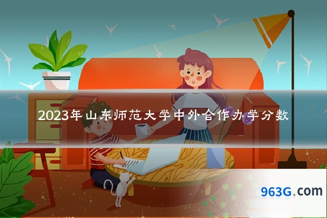 2023年山东师范大学中外合作办学分数