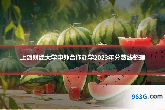 上海财经大学中外合作办学2023年分数线整理