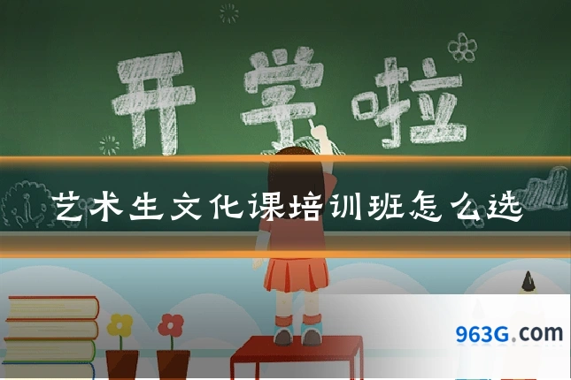 艺术生文化课培训班怎么选