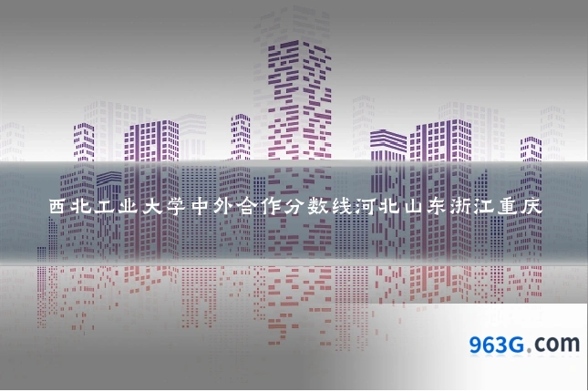 西北工业大学中外合作分数线河北山东浙江重庆