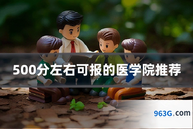 500分左右可报的医学院推荐