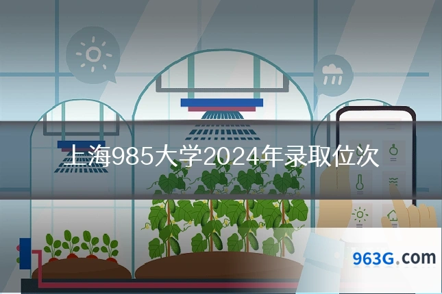 上海985大学2024年录取位次