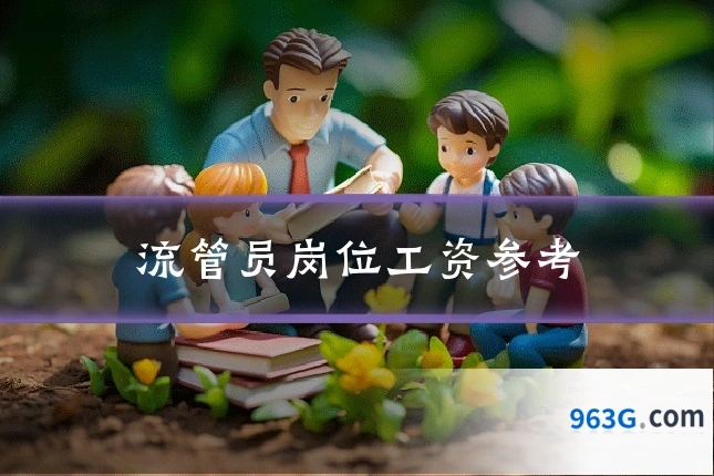 流管员岗位工资参考