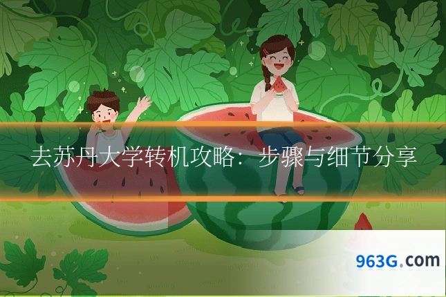 去苏丹大学转机攻略：步骤与细节分享