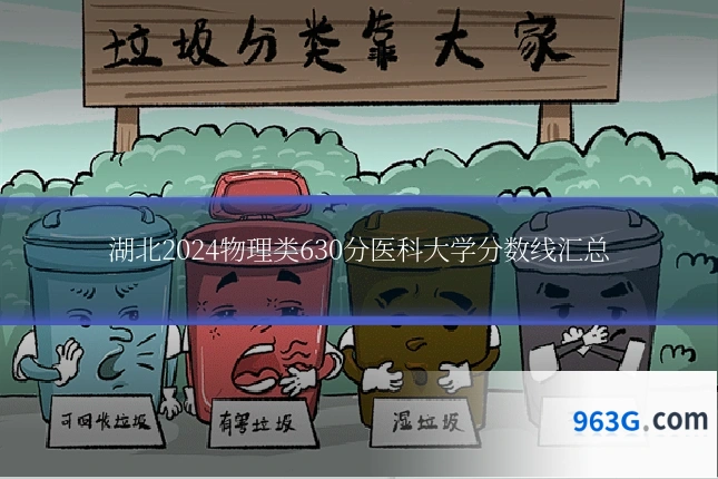 湖北2024物理类630分医科大学分数线汇总