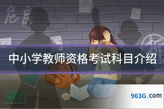 中小学教师资格考试科目介绍