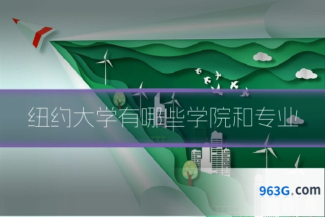 纽约大学有哪些学院和专业