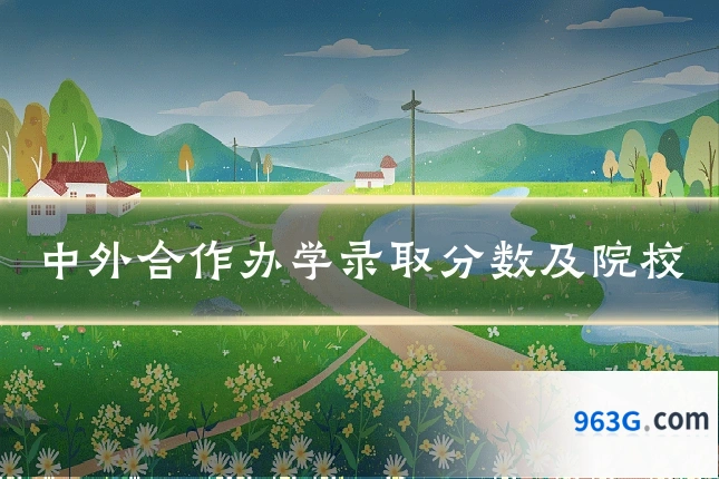 中外合作办学录取分数及院校