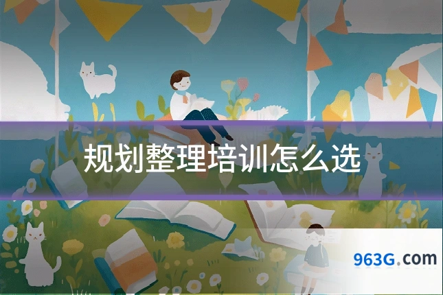 规划整理培训怎么选