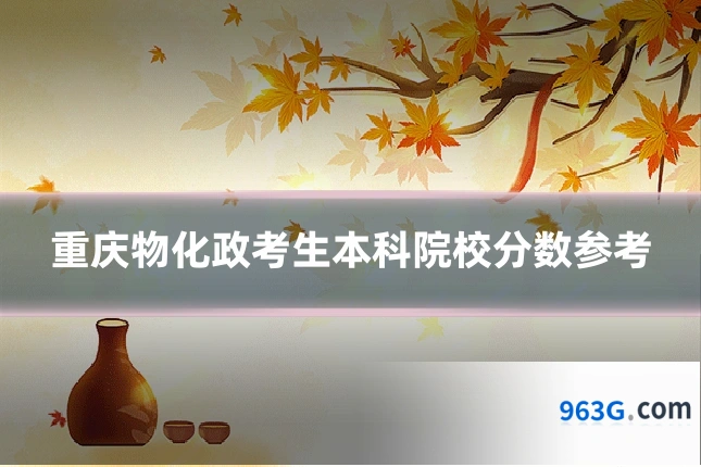 重庆物化政考生本科院校分数参考