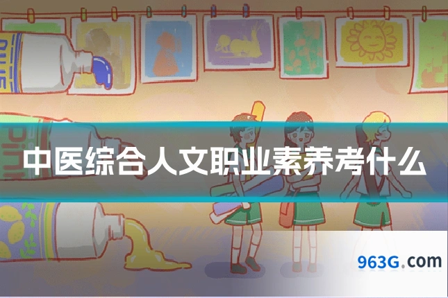 中医综合人文职业素养考什么