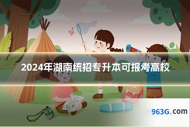 2024年湖南统招专升本可报考高校