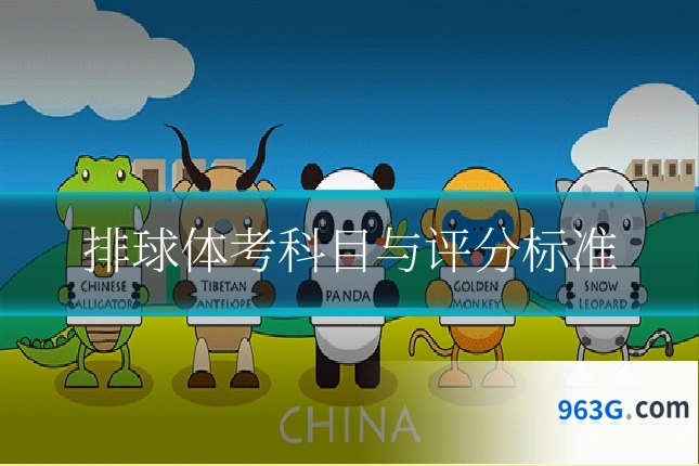 排球体考科目与评分标准