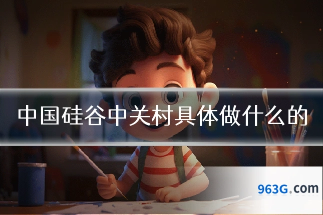 中国硅谷中关村具体做什么的