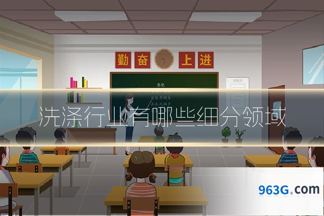 洗涤行业有哪些细分领域
