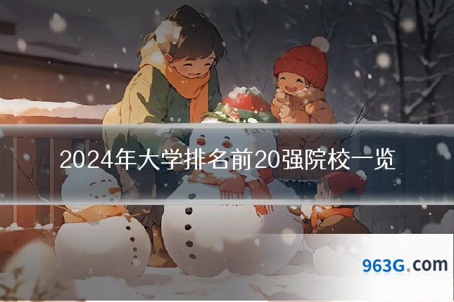2024年大学排名前20强院校一览