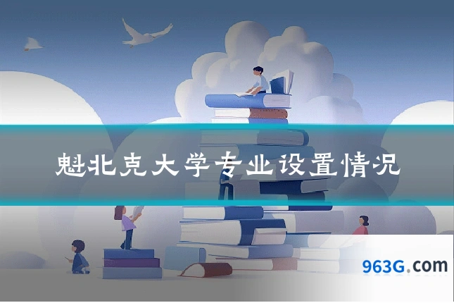 魁北克大学专业设置情况