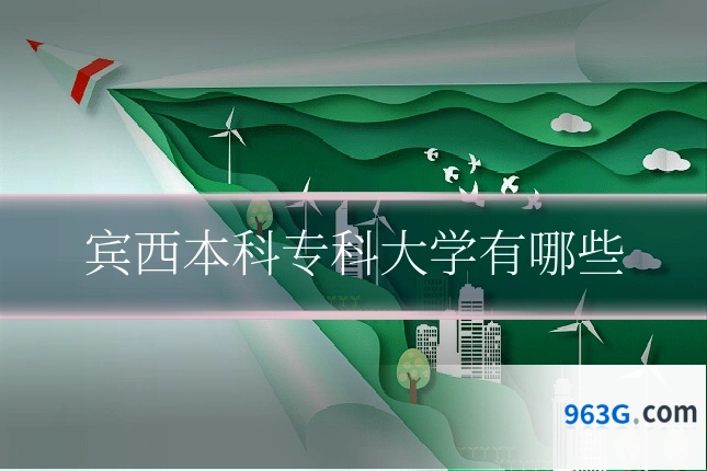 宾西本科专科大学有哪些