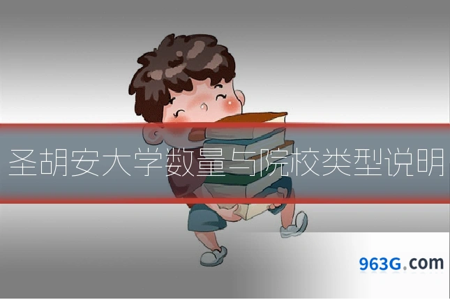 圣胡安大学数量与院校类型说明