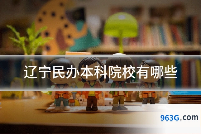 辽宁民办本科院校有哪些