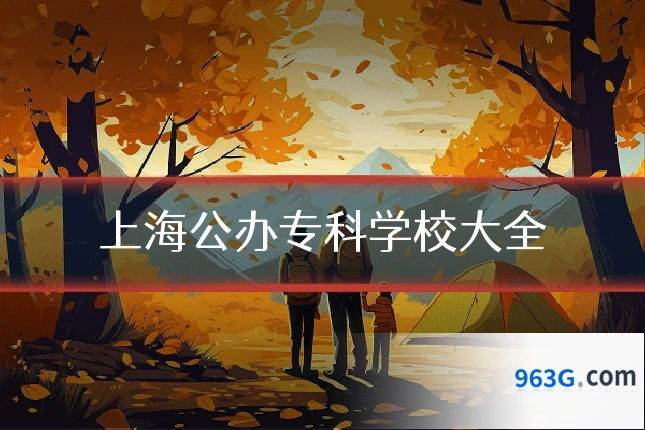 上海公办专科学校大全