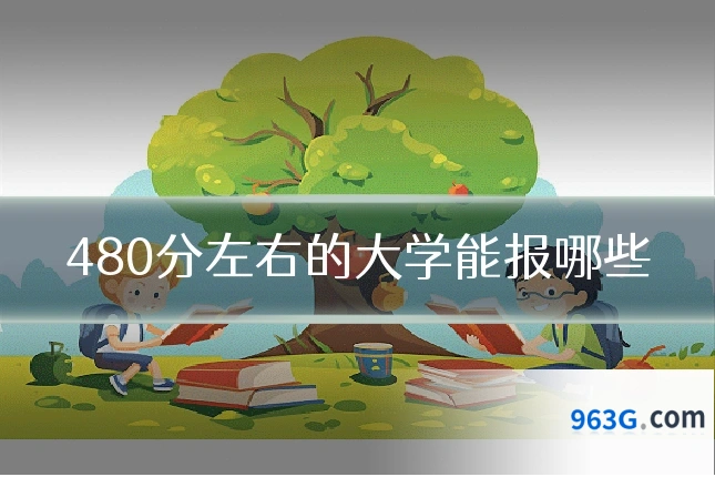 480分左右的大学能报哪些